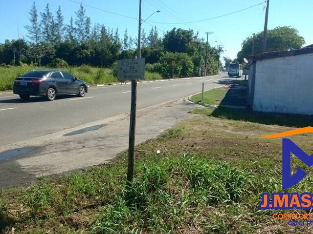 Área para Venda em Ilha Comprida - 5