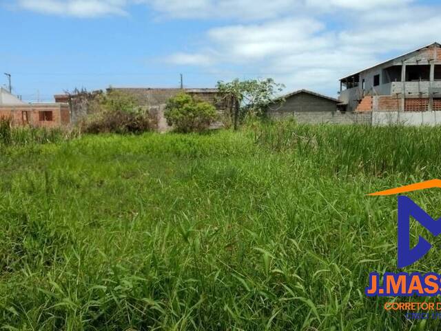 #230 - Terreno para Venda em Ilha Comprida - SP - 1