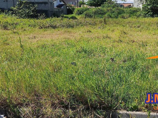 #266 - Terreno para Venda em Ilha Comprida - SP