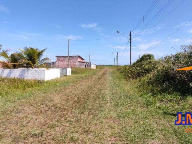 #277 - Terreno para Venda em Ilha Comprida - SP - 3