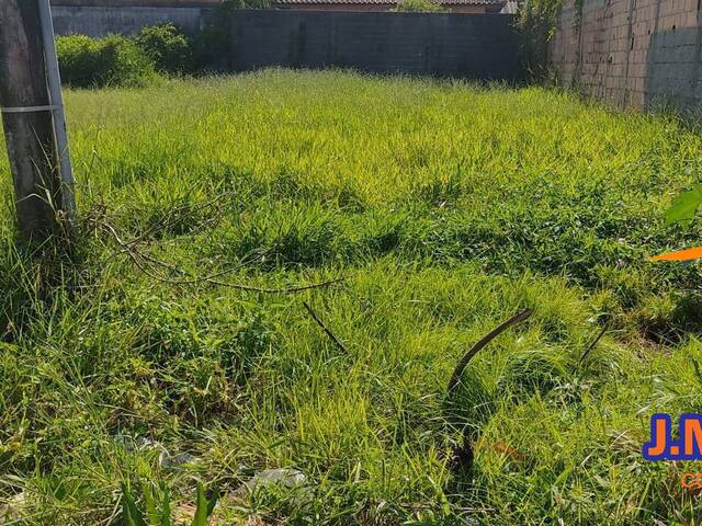 Terreno para Venda em Ilha Comprida - 4