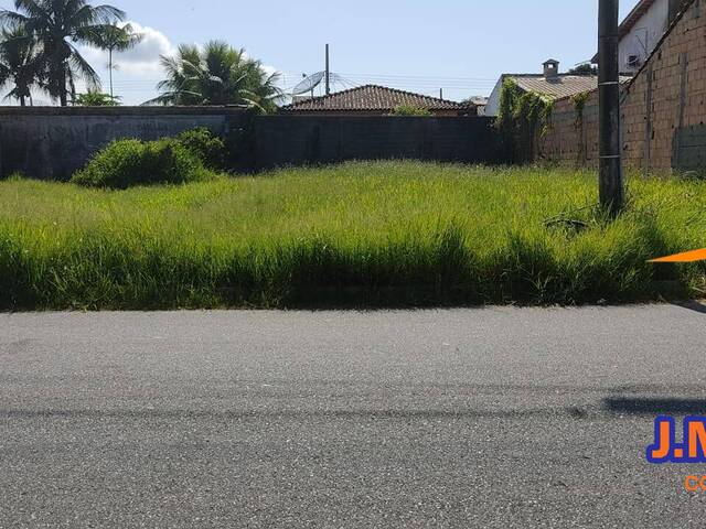 #293 - Terreno para Venda em Ilha Comprida - SP - 1