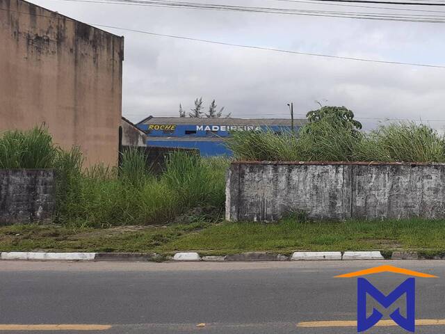 Terreno para Venda em Ilha Comprida - 4