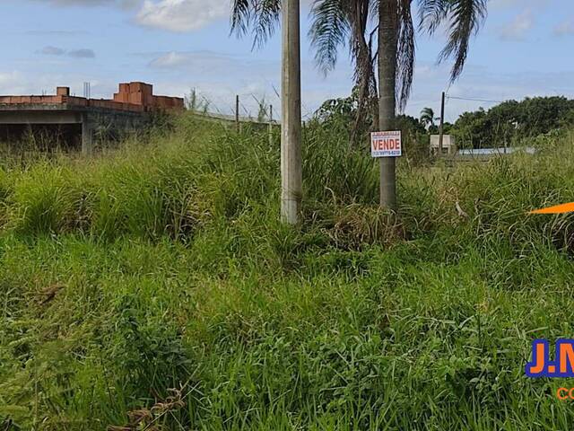 #310 - Terreno para Venda em Ilha Comprida - SP