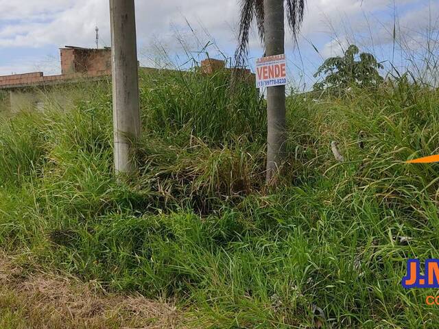 #310 - Terreno para Venda em Ilha Comprida - SP