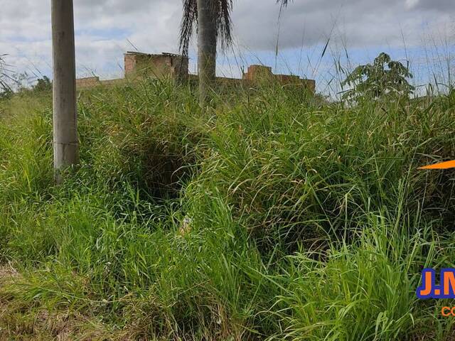 Terreno para Venda em Ilha Comprida - 4
