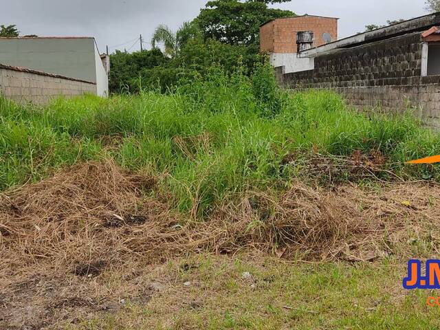 #311 - Terreno para Venda em Ilha Comprida - SP - 1