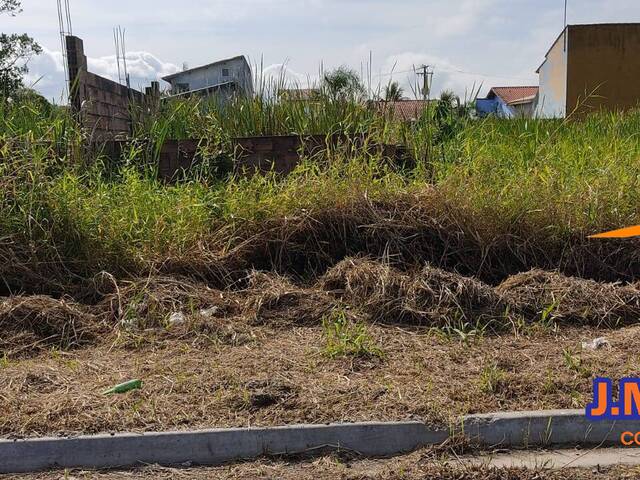 Terreno para Venda em Ilha Comprida - 4