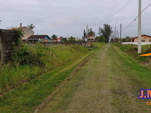 Terreno para Venda em Ilha Comprida - 5