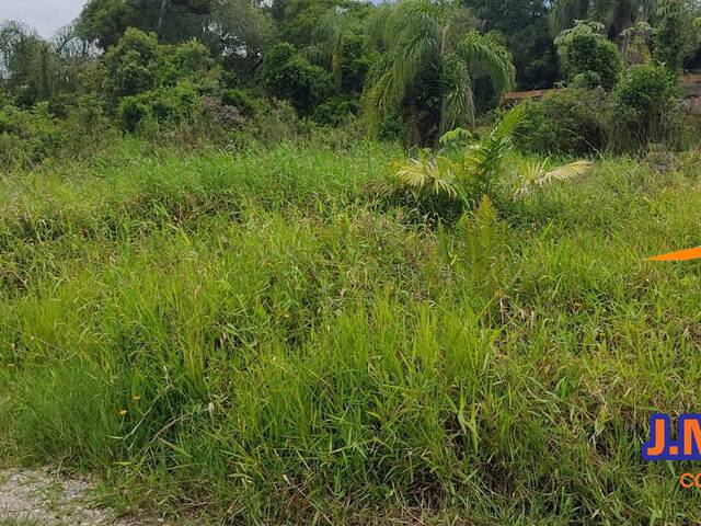 #360 - Área para Venda em Ilha Comprida - SP - 1