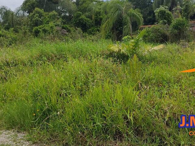 Venda em Balneário Britânia  - Ilha Comprida