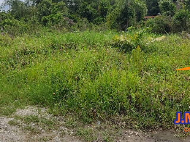 Área para Venda em Ilha Comprida - 4