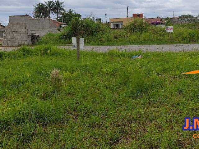 #361 - Área para Venda em Ilha Comprida - SP - 2