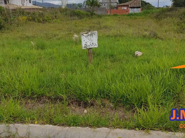 #361 - Área para Venda em Ilha Comprida - SP - 1