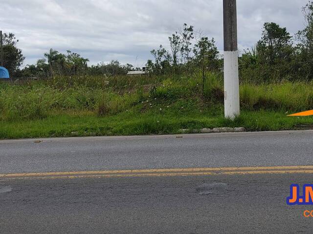 Área para Venda em Ilha Comprida - 5