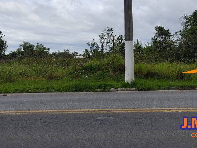 Área para Venda em Ilha Comprida - 4