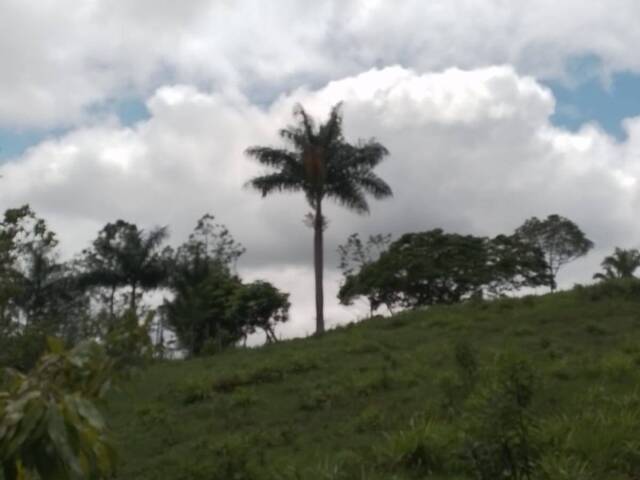 Chácara para Venda em Pariquera-Açu - 5