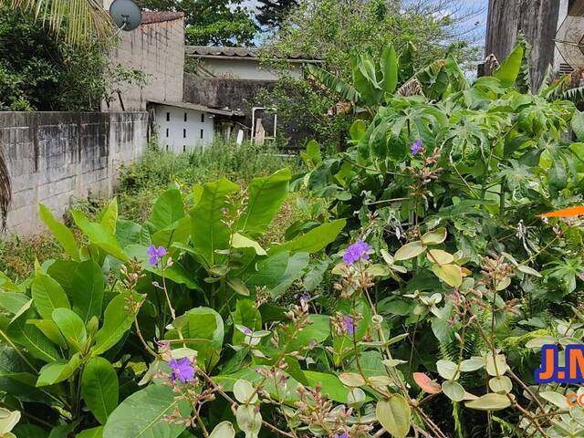 Terreno para Venda em Ilha Comprida - 4