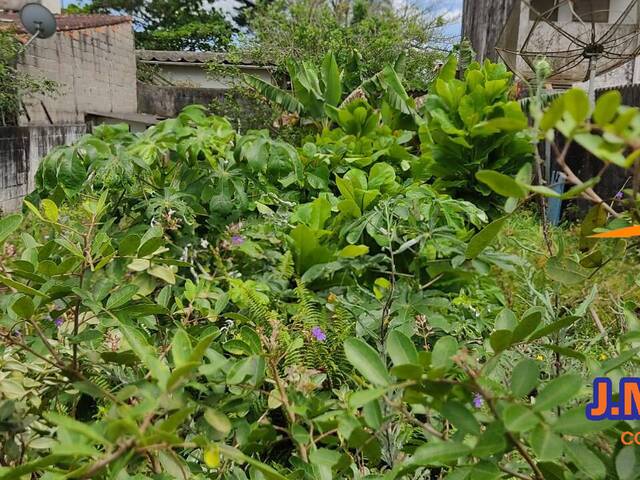 #428 - Terreno para Venda em Ilha Comprida - SP - 3