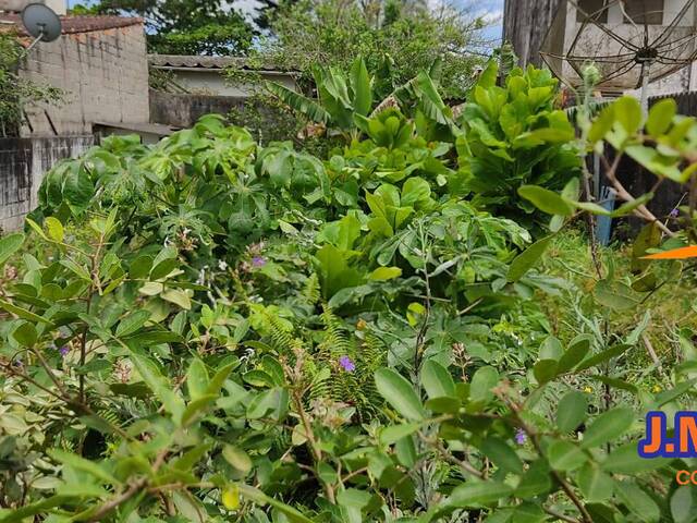 #428 - Terreno para Venda em Ilha Comprida - SP