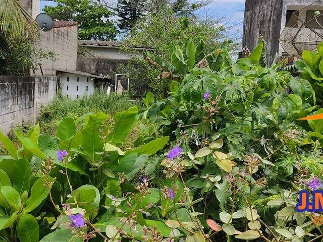 Terreno para Venda em Ilha Comprida - 5