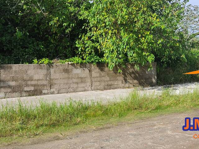 #447 - Área para Venda em Ilha Comprida - SP - 2