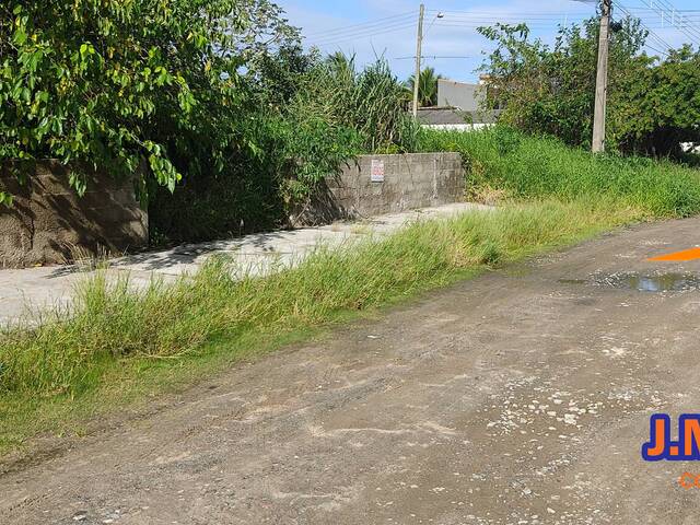 #447 - Área para Venda em Ilha Comprida - SP - 3