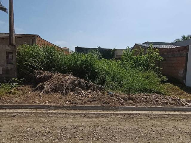 #479 - Área para Venda em Ilha Comprida - SP - 3