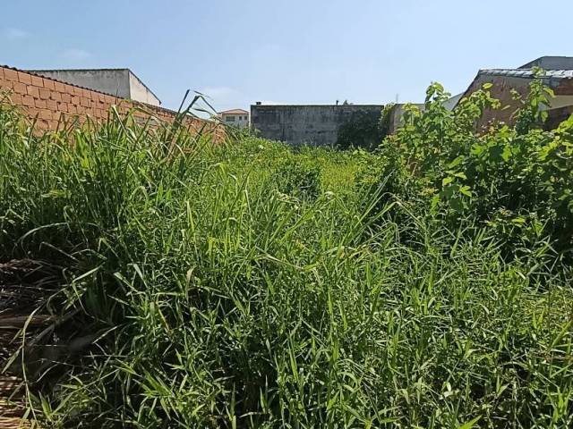 Área para Venda em Ilha Comprida - 5