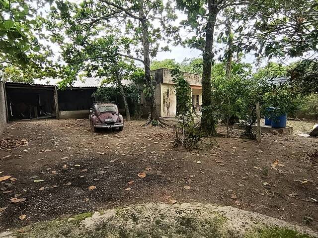 Casa para Venda em Ilha Comprida - 5