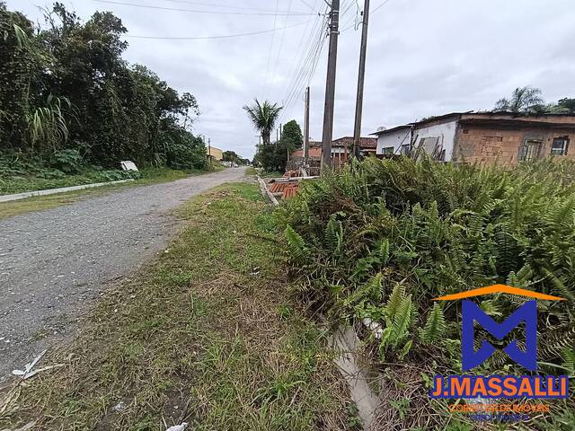 Venda em Balneário Britânia  - Ilha Comprida