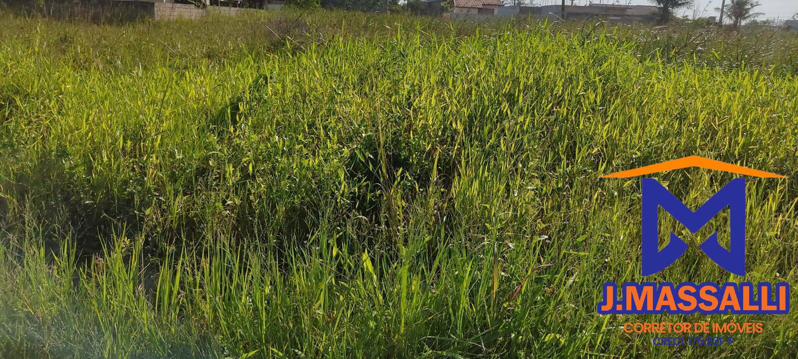 Terreno, 250 m² - Foto 3