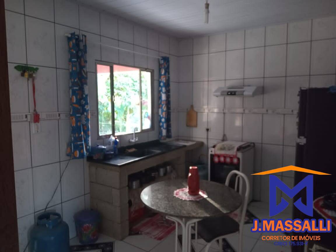 Sítio à venda com 2 quartos, 300m² - Foto 4