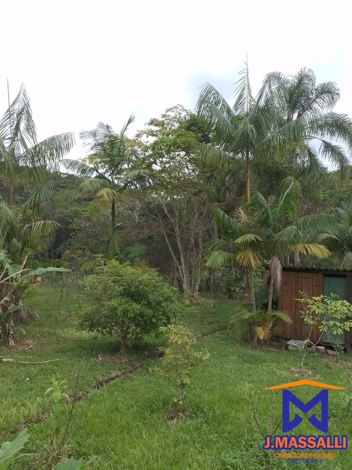 Sítio à venda com 2 quartos, 10m² - Foto 2