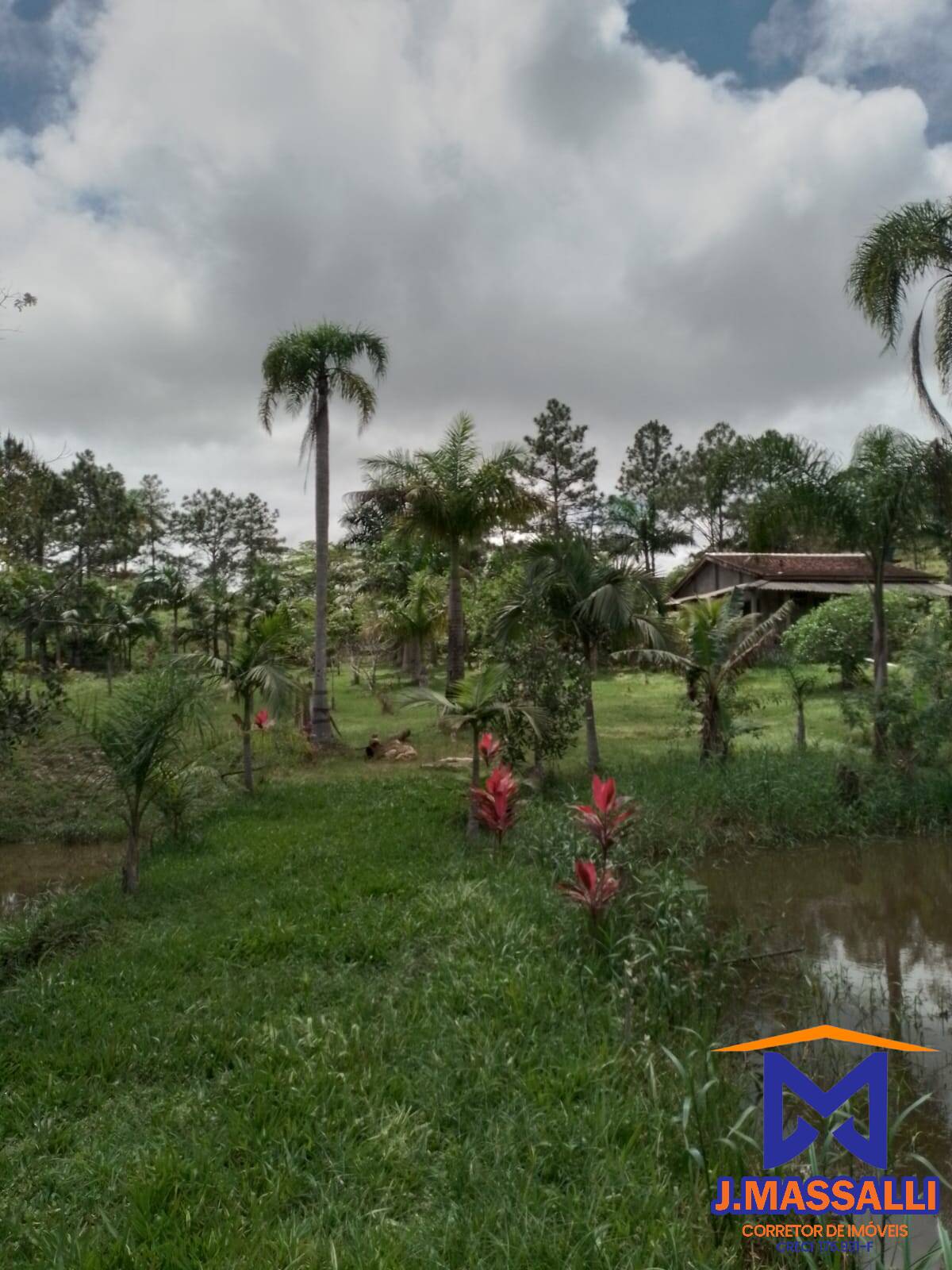 Sítio à venda com 2 quartos, 10m² - Foto 10