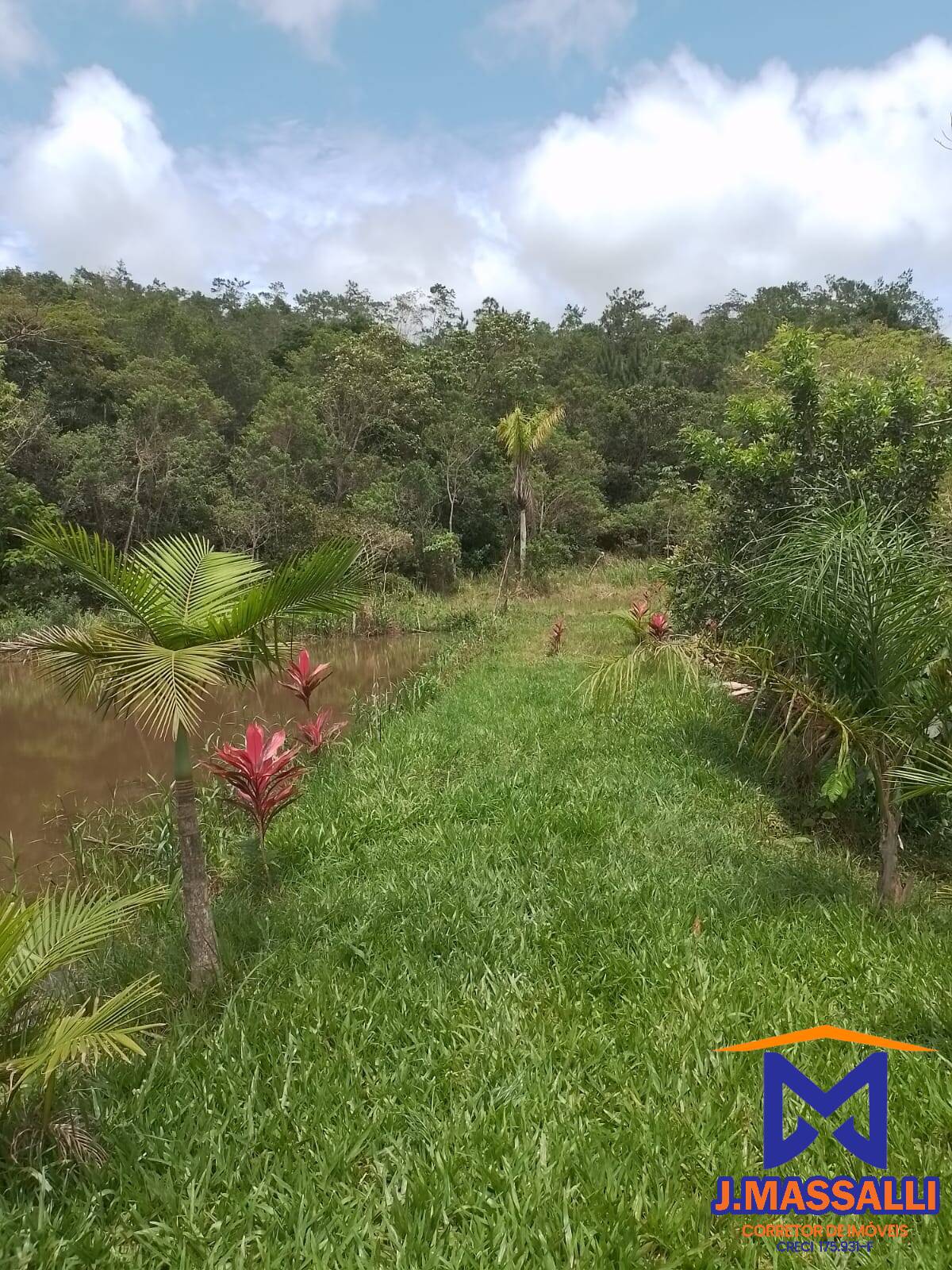 Sítio à venda com 2 quartos, 10m² - Foto 12
