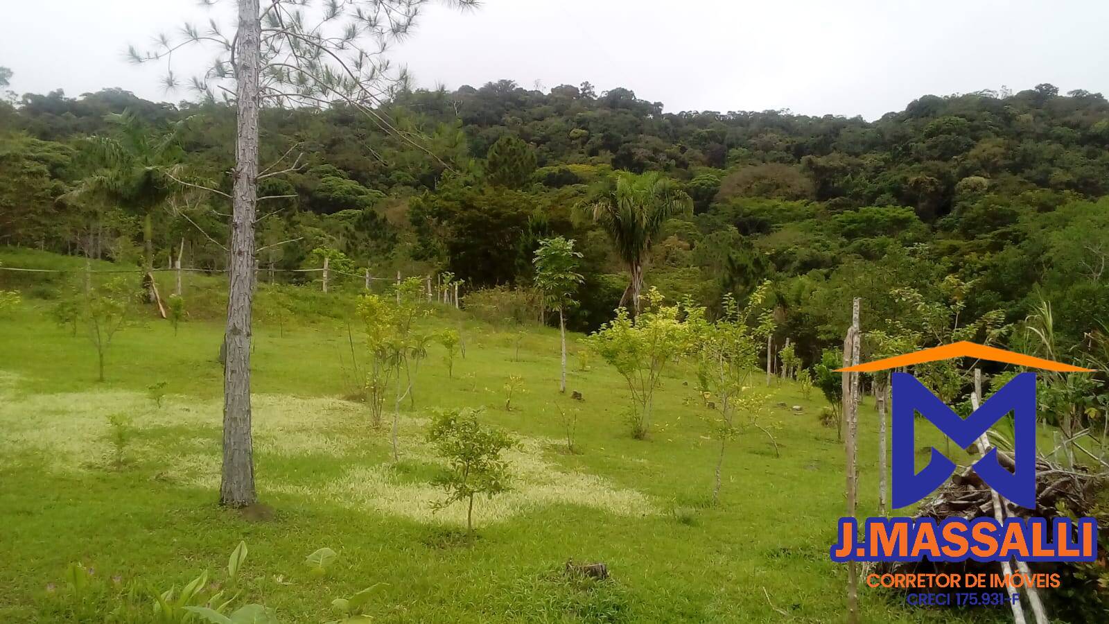 Sítio à venda com 2 quartos, 10m² - Foto 42