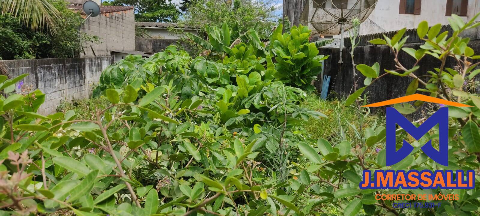 Terreno, 250 m² - Foto 2