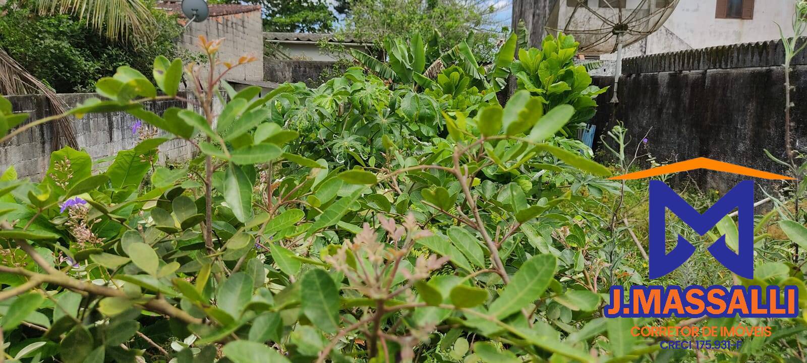 Terreno, 250 m² - Foto 8