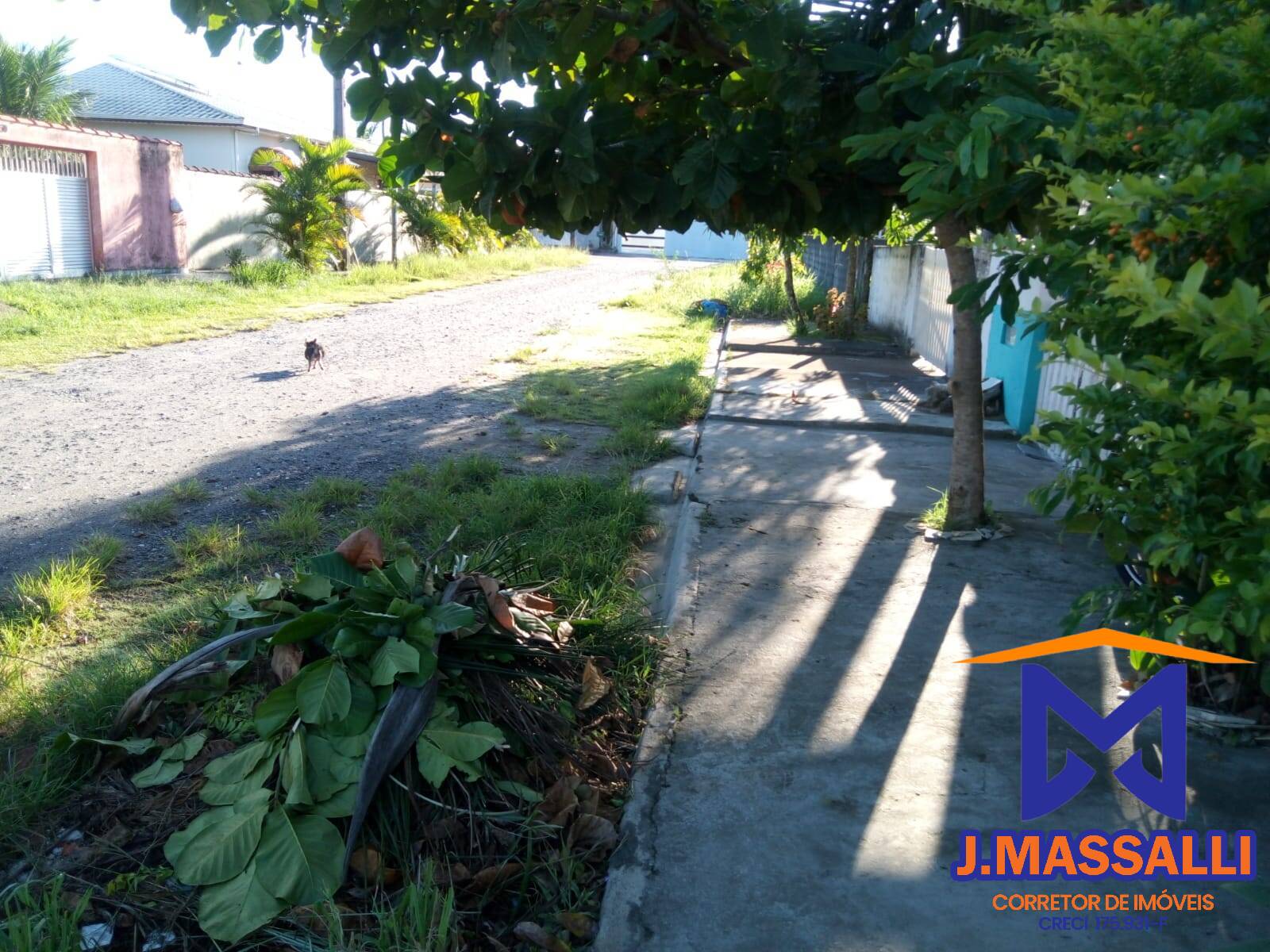 Casa, 4 quartos - Foto 3