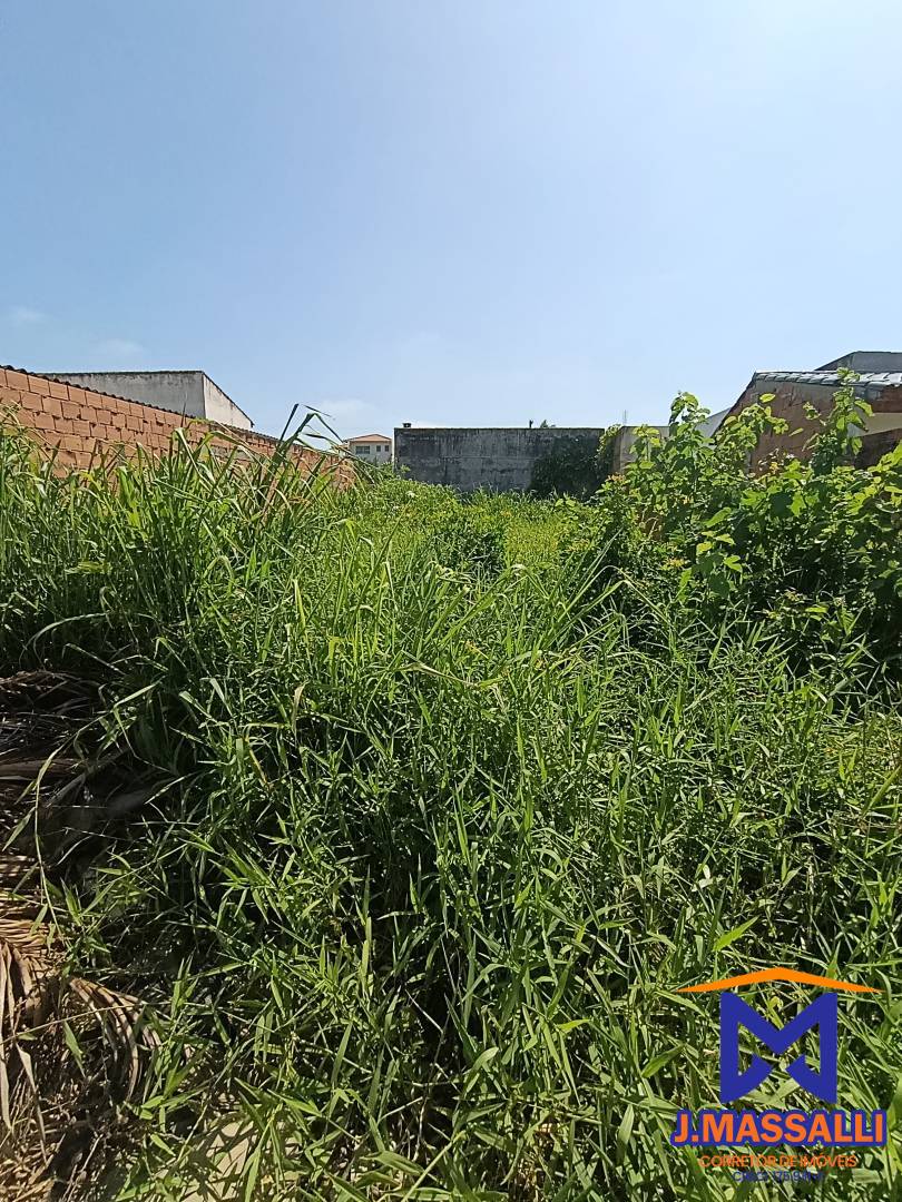 Terreno, 250 m² - Foto 5