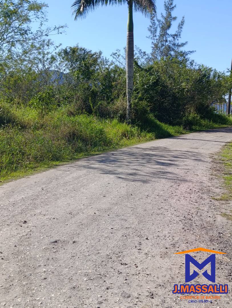Terreno, 250 m² - Foto 3