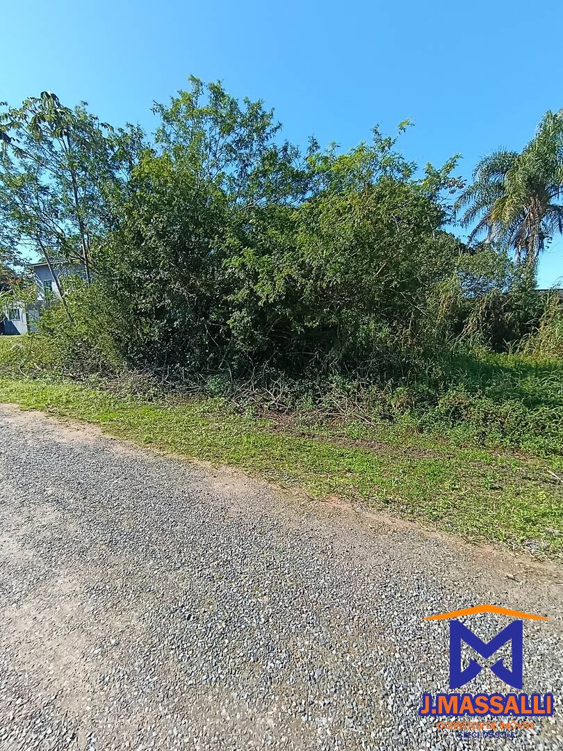 Terreno, 250 m² - Foto 6